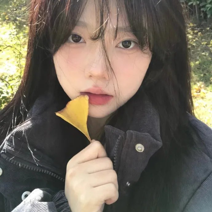 兰戈